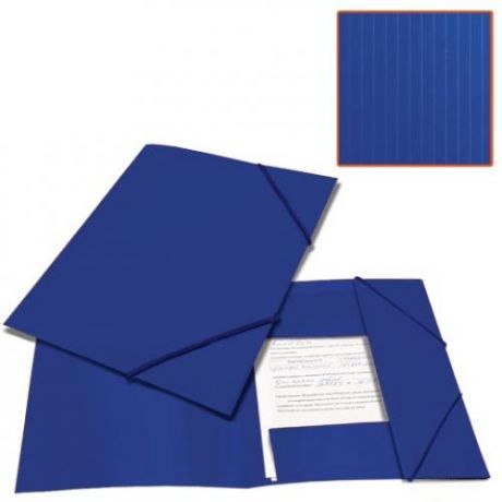 Папка BRAUBERG, Contract, А4, 300 листов, на резинке, синий