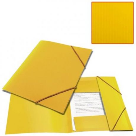 Папка BRAUBERG, Contract, А4, 300 листов, на резинке, желтый