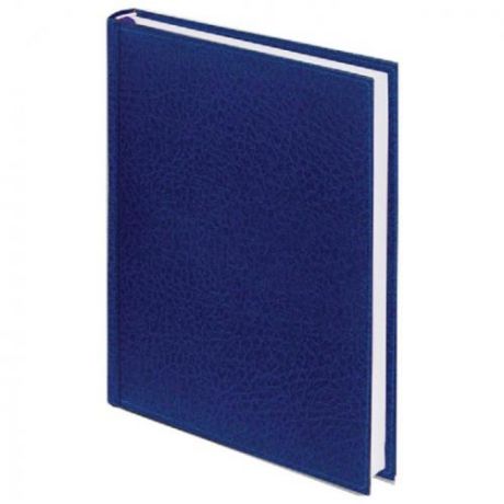 Ежедневник BRAUBERG, Profile, А5, 160 листов, недатированный, синий
