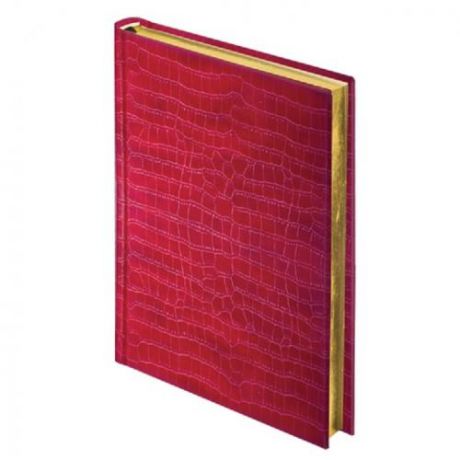 Ежедневник BRAUBERG, Comodo, А5, 160 листов, недатированный, красный