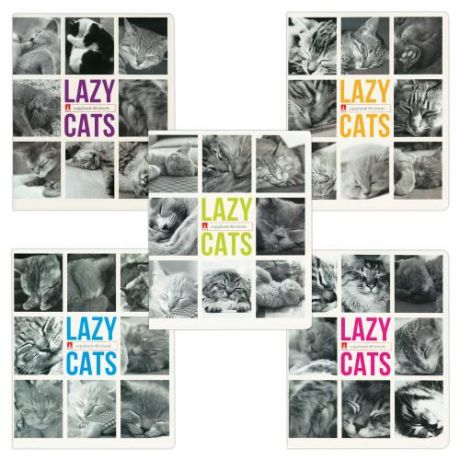 Тетрадь Альт, LAZY CATS, клетка, 48 листов