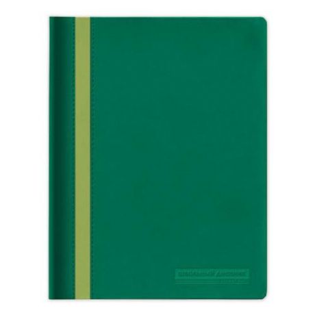 Дневник Альт, MONACO, 48 листов, зеленый, с тиснением