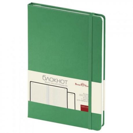 Бизнес-блокнот Bruno Visconti, А5, 100 листов, зеленый, на резинке