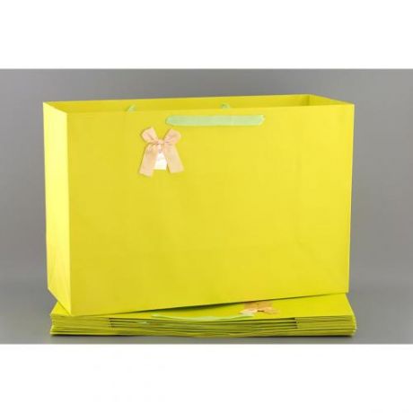 Набор подарочных пакетов Lefard, 60*40*23 см, 10 шт, желтый