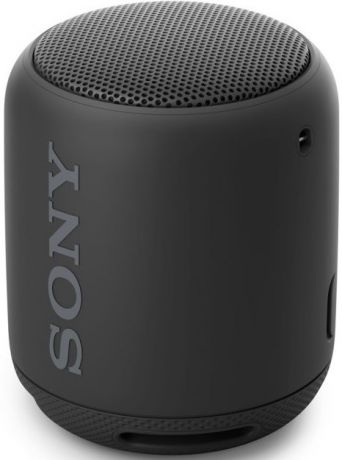 Портативная акустическая система Sony SRS-XB12 Black