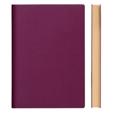 Блокнот "Signature Dotted Notebook" A5, 88 листов, в точку, малиновый