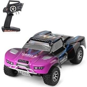 Радиоуправляемый монстр WL Toys 4WD RTR масштаб 1:18 2.4G - WLT-18403