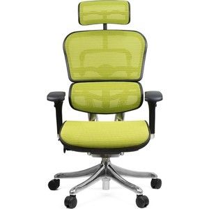 Кресло эргономичное Comfort Seating Group EHPE-AB-HAM (Д) KMD-34 ergohuman plus elite green