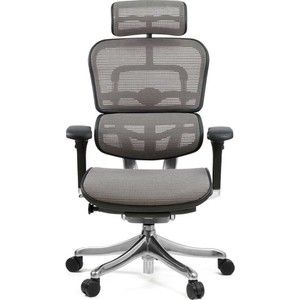 Кресло эргономичное Comfort Seating Group EHPE-AB-HAM (Д) KMD-30 ergohuman plus elite grey