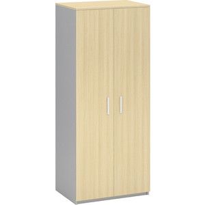 Шкаф для одежды двухдверный Виско Импакт береза серый с горизонтальной штангой