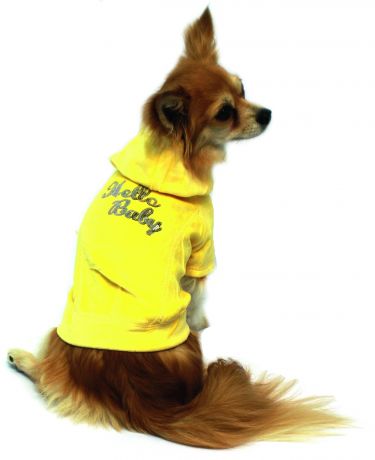 Футболка Каскад "Hello baby" с капюшоном велюр желтая для собак (25 см, Желтый)