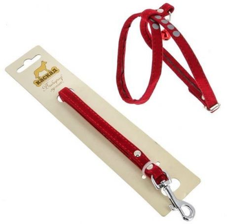 Комплект Поводок и шлейка Каскад флок со светоотражающим рисунком красный для собак (120 см + 22/35 см, Красный)