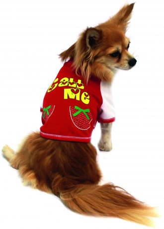Футболка Каскад "Call me" с капюшоном красная для собак (25 см, Красный)