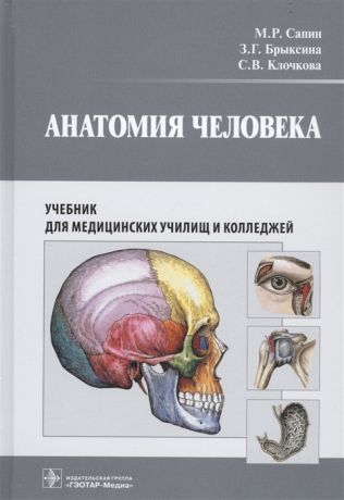 Сапин М., Брыксина З., Клочкова С. Анатомия человека Учебник для медицинских училищ и колледжей