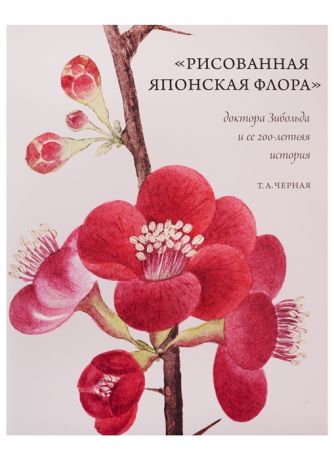 Черная Т. Рисованная Японская Флора доктора Зибольда и ее 200-летняя история