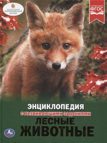 Седова Н., Волцит П. Лесные животные Энциклопедия с развивающими заданиями