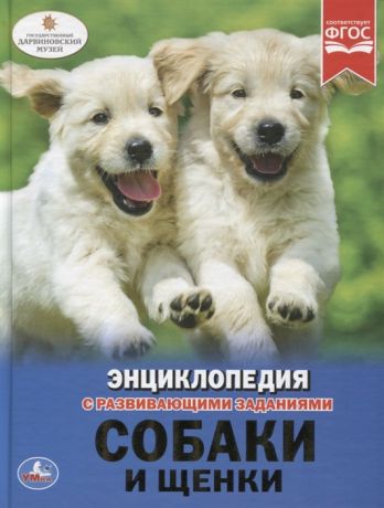 Ерофеева Н. Собаки и щенки Энциклопедия с развивающими заданиями