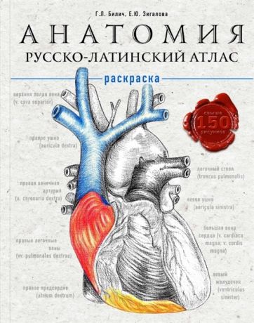 Билич Г., Зигалова Е. Анатомия русско-латинский атлас-раскраска