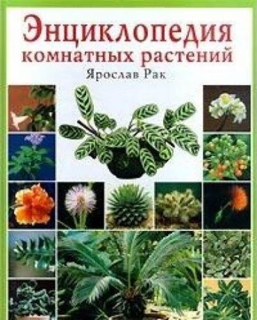 Рак Я. Энциклопедия комнатных растений