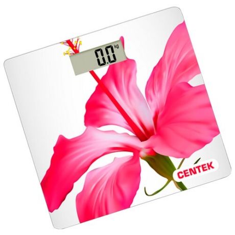 Весы CENTEK CT-2412 Flower