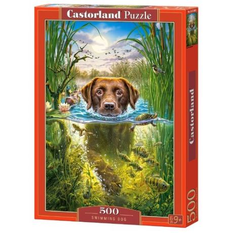 Пазл Castorland Swimming Dog