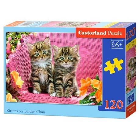 Пазл Castorland Kittens on