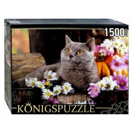 Пазл Рыжий кот Konigspuzzle