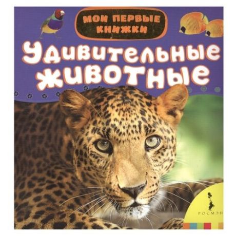 Мои первые книжки. Удивительные