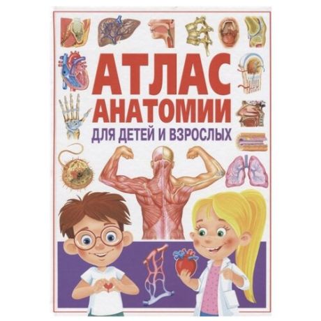 Атлас анатомии для детей и