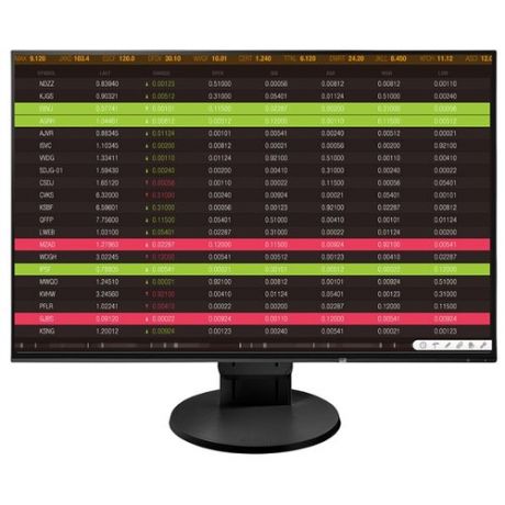 Монитор Eizo FlexScan EV2456