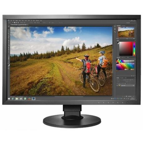 Монитор Eizo ColorEdge CS2420