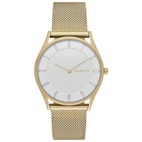 Наручные часы SKAGEN SKW2377