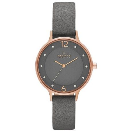 Наручные часы SKAGEN SKW2267