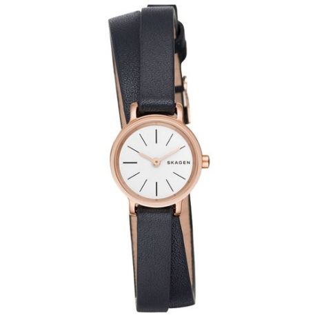 Наручные часы SKAGEN SKW2598