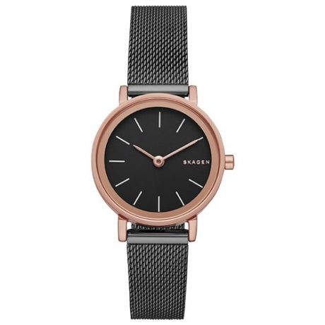 Наручные часы SKAGEN SKW2492