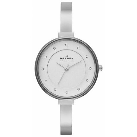 Наручные часы SKAGEN SKW2228