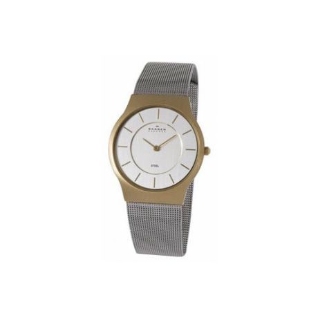 Наручные часы SKAGEN 233LGS