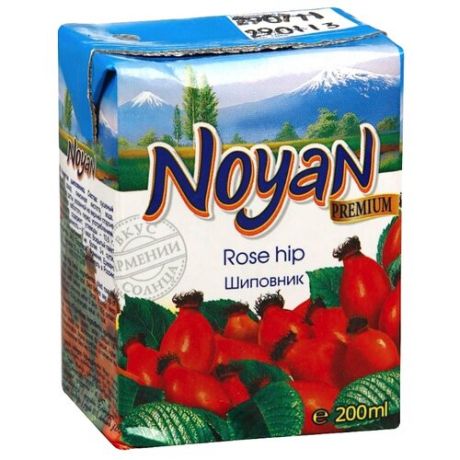 Напиток сокосодержащий Noyan