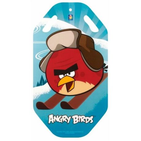 Ледянка 1 TOY Angry Birds Т57212