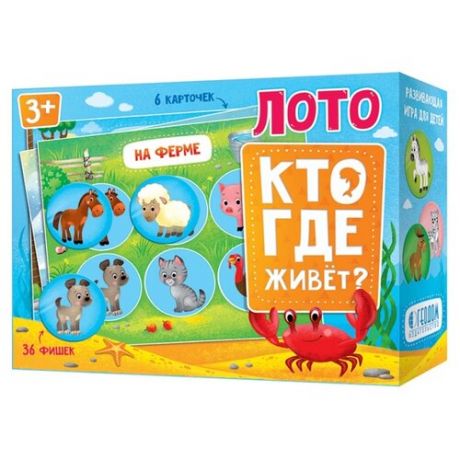 Настольная игра ГеоДом Лото.