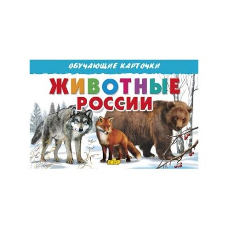 Животные России. Обучающие