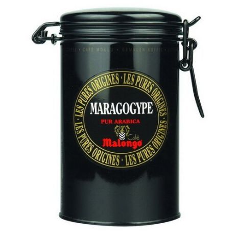 Кофе молотый Malongo Maragogype
