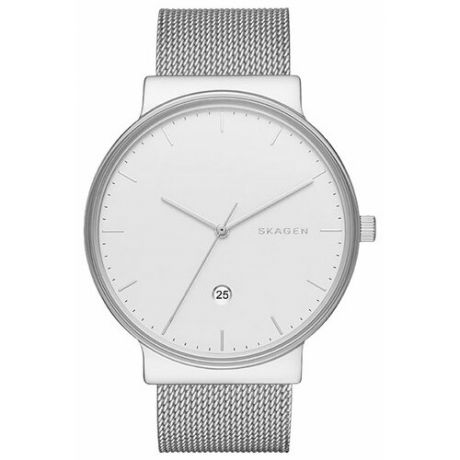 Наручные часы SKAGEN SKW6290