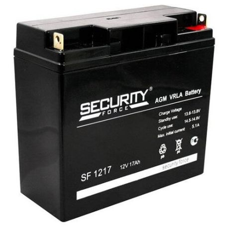 Аккумуляторная батарея Security