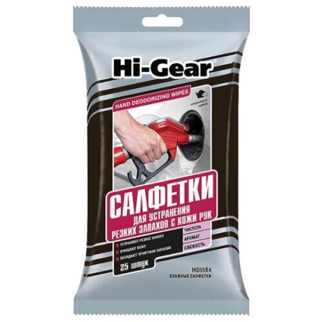 Очиститель Hi-Gear HG5584