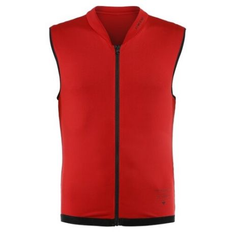 Защита спины Dainese New