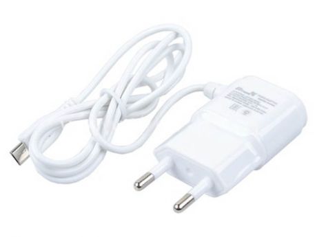 Зарядное устройство Eltronic Micro USB 1A White 5501