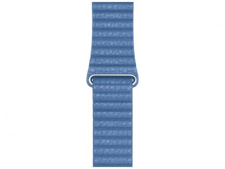 Аксессуар Ремешок Devia Belt Elegant Leather Loop для Apple Watch 42/44mm Cod Blue 27827