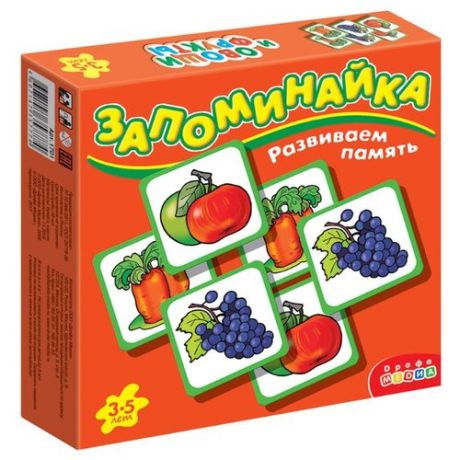 Настольная игра Дрофа-Медиа Запоминайка. Овощи и фрукты