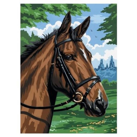 Royal & Langnickel Картина по номерам на холсте "Гнедой конь" 22х30 см (PCS8)